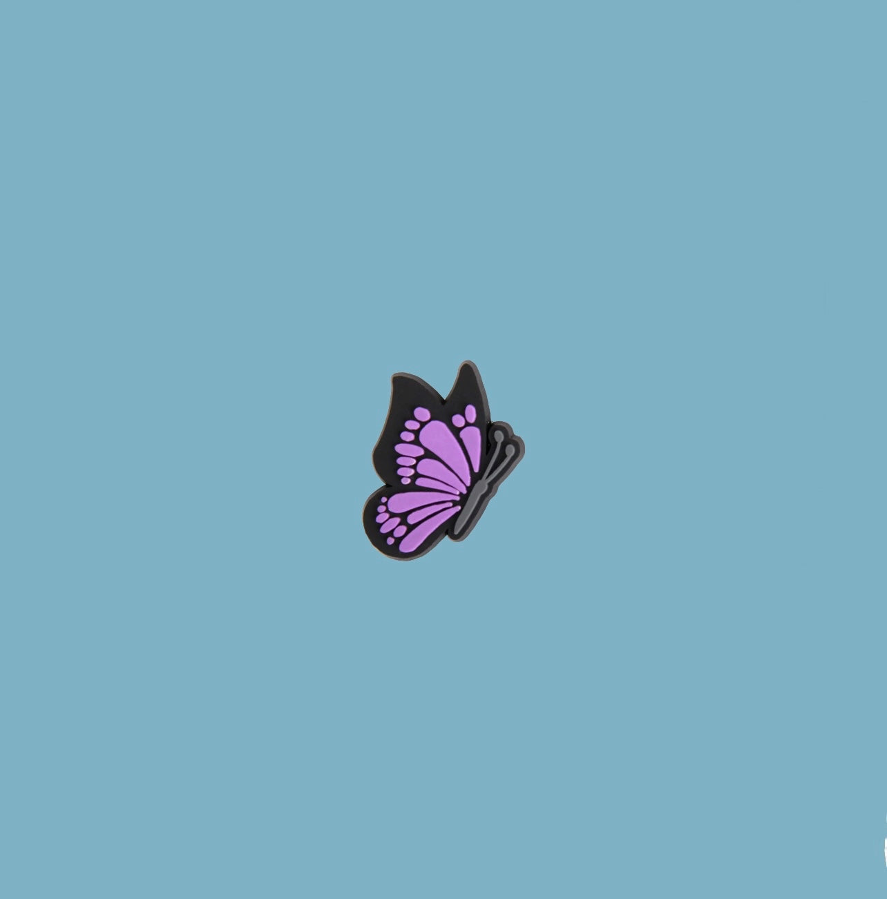 GC080